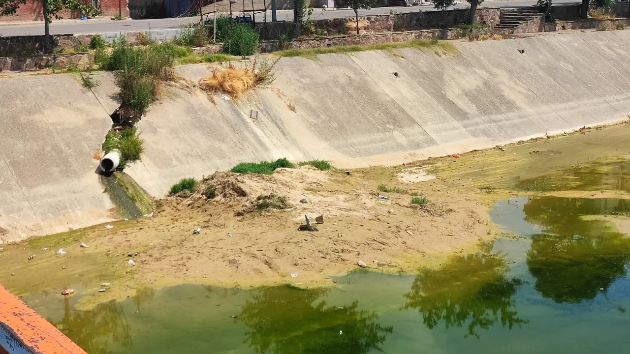 Adana’yı istila etti! Kimse kapı pencere açamıyor, çocukların vücudu yara içinde
