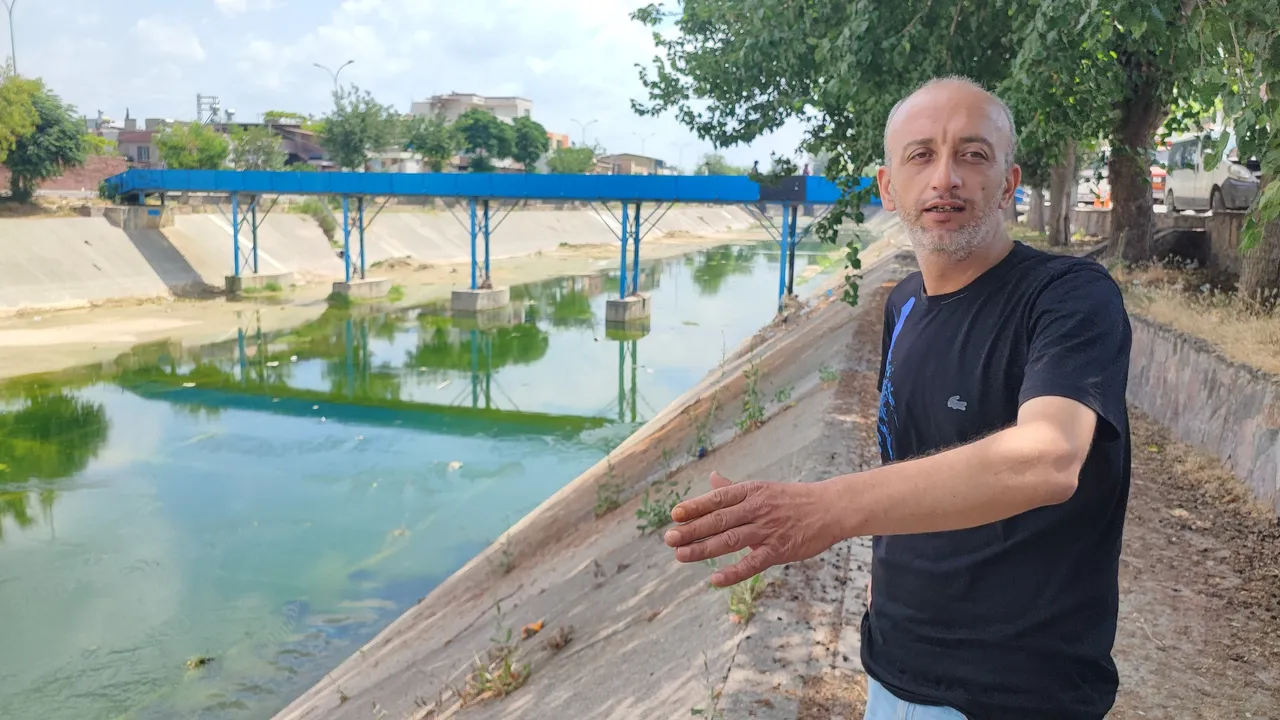 Adana’yı istila etti! Kimse kapı pencere açamıyor, çocukların vücudu yara içinde