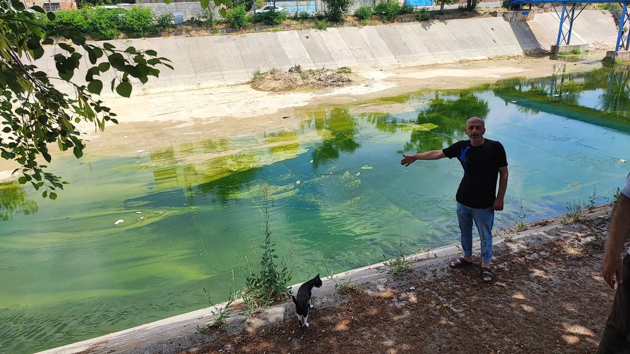 Adana’yı istila etti! Kimse kapı pencere açamıyor, çocukların vücudu yara içinde