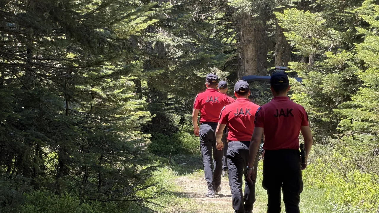 Bursa’da ormanlara giriş yasaklandı! 4 ay sürecek tedbirlerin detayları netleşti