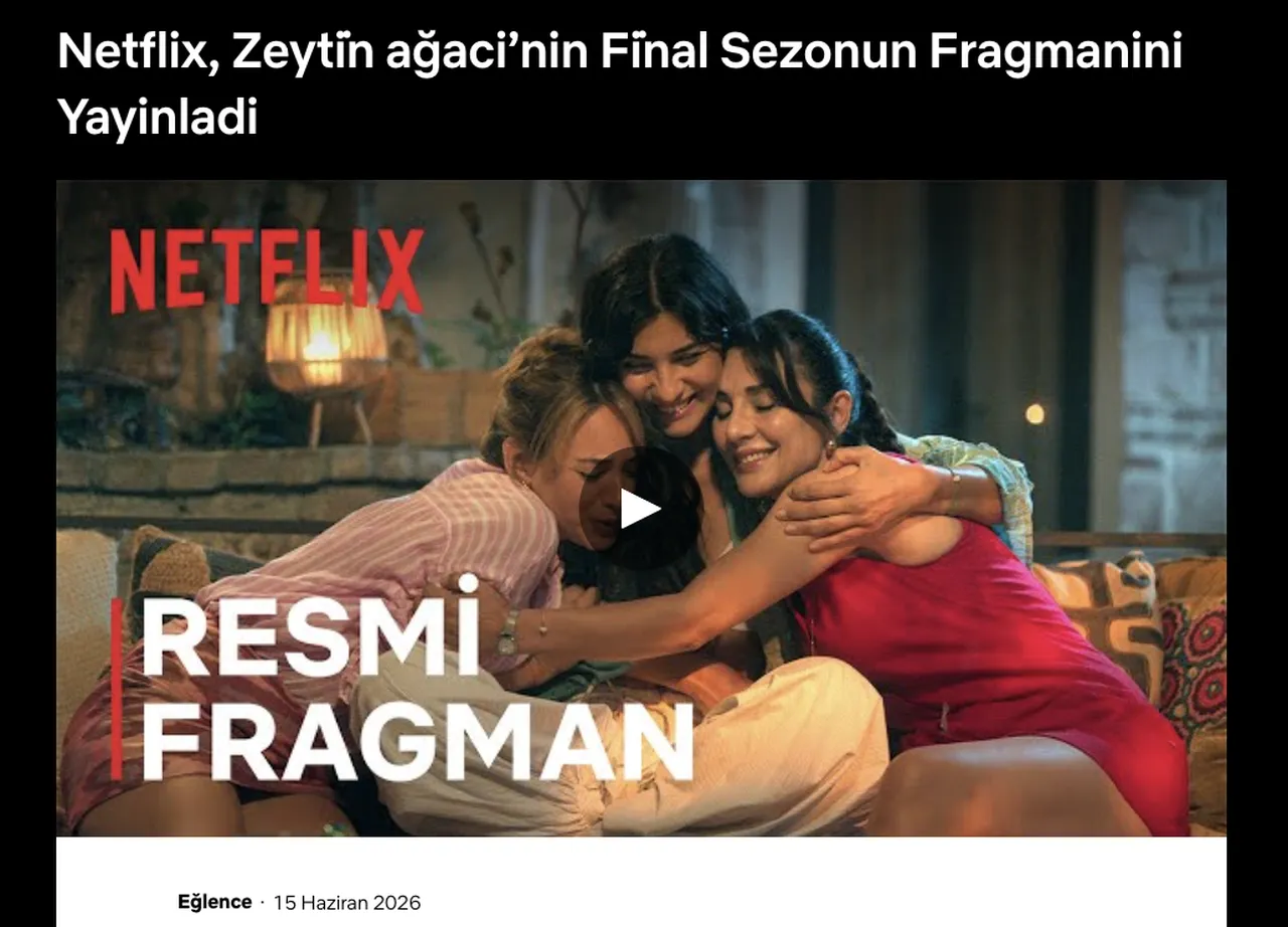 Zeytin Ağacı 4. sezon olacak mı, final mi yaptı? Zeytin Ağacı 3. sezon Netflixte yayınlandı!