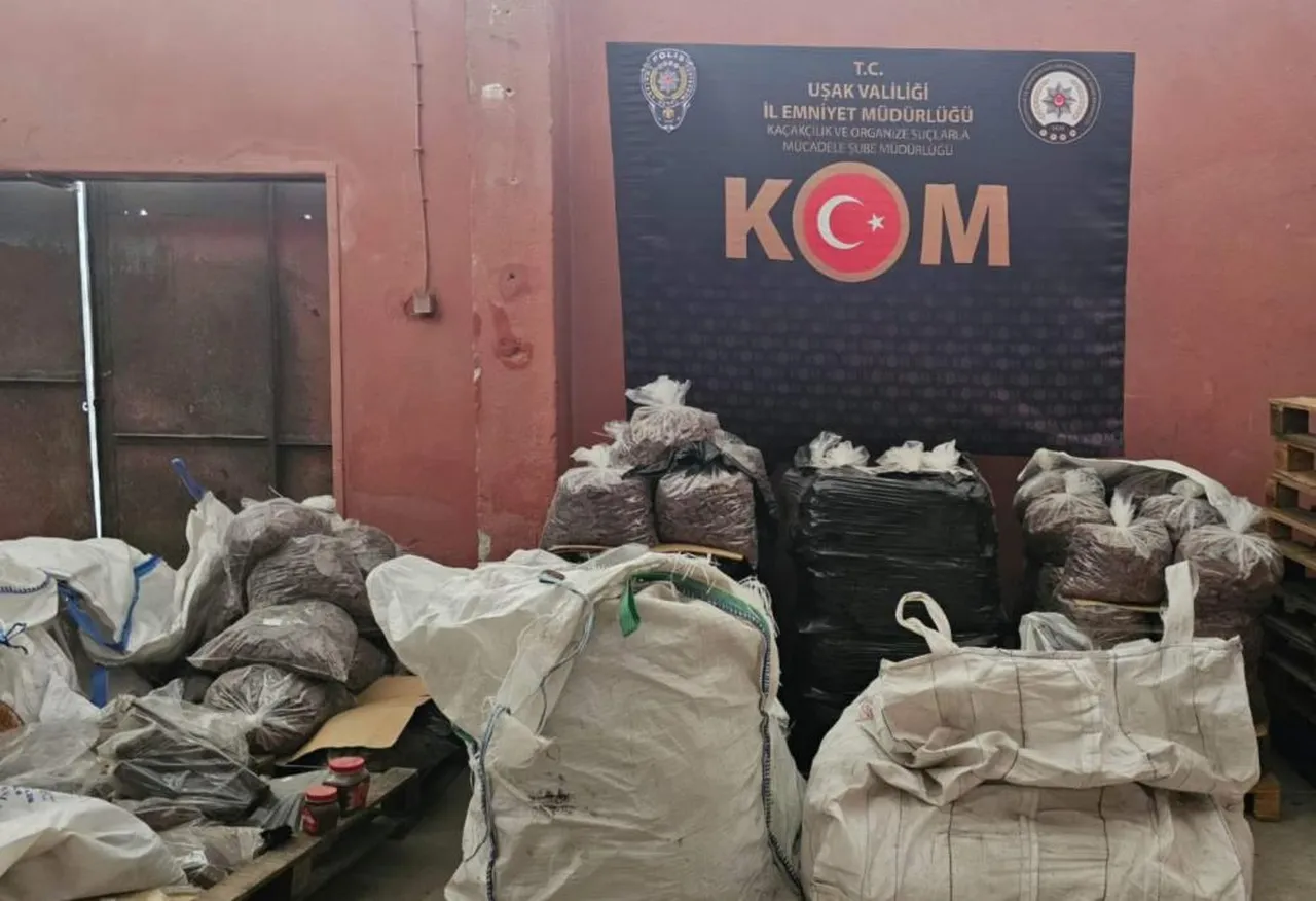 30 tondan fazla! Hepsini vatandaşa yedireceklerdi: Bozuk ve tarihi geçmiş gıdalar imha edildi
