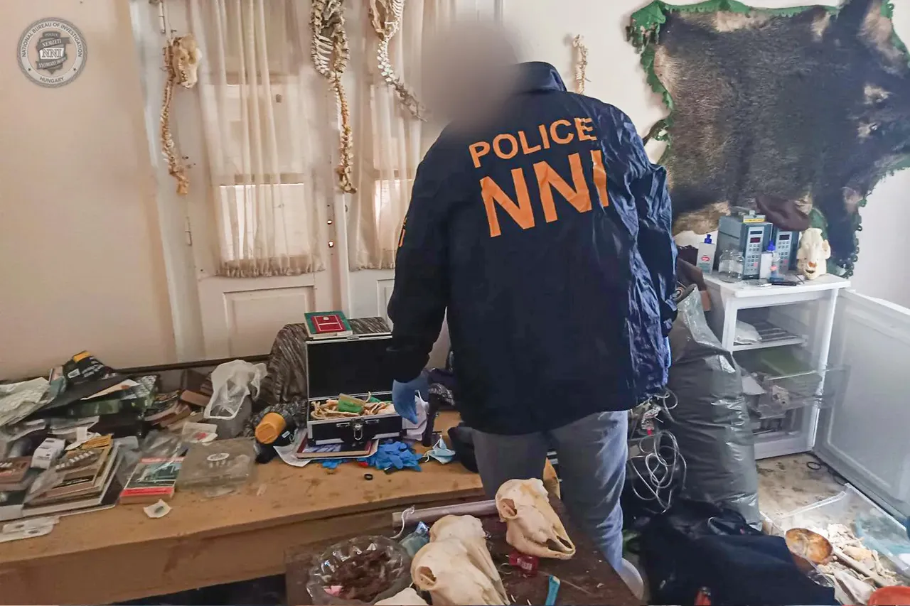 Evinden insan kalıntıları çıktı, dehşete düşüren itiraf geldi: Yemek hazırlayıp yedim