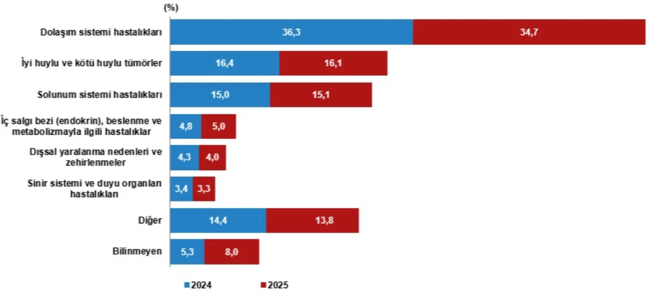 Her 3 ölümden 1’i aynı sebepten! TÜİK verilerinde çarpıcı tablo