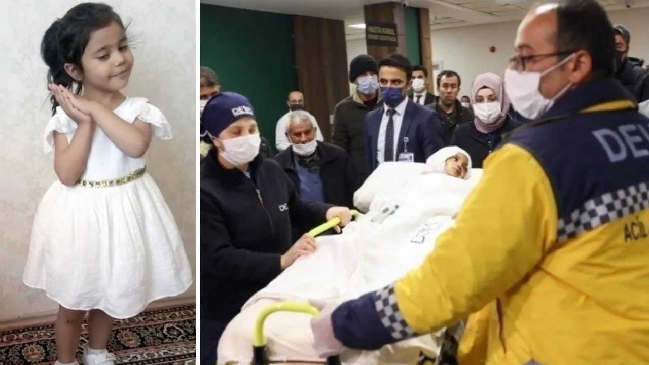 Küçük Asiye'nin kafasını parçalamışlardı! Mahkeme pitbullları 'silah' olarak kabul etti