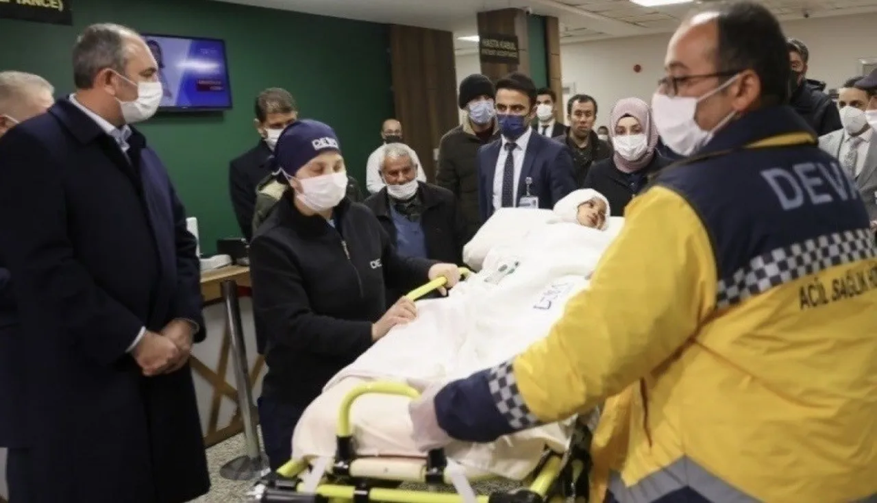 Küçük Asiyenin kafasını parçalamışlardı! Mahkeme pitbullları silah olarak kabul etti
