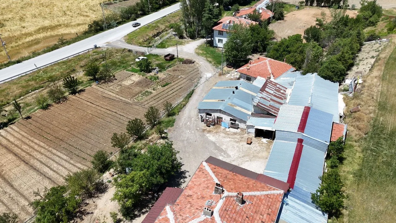 Evinde yangın çıksa itfaiye gidemeyecek! Komşuların yol kavgası krize döndü