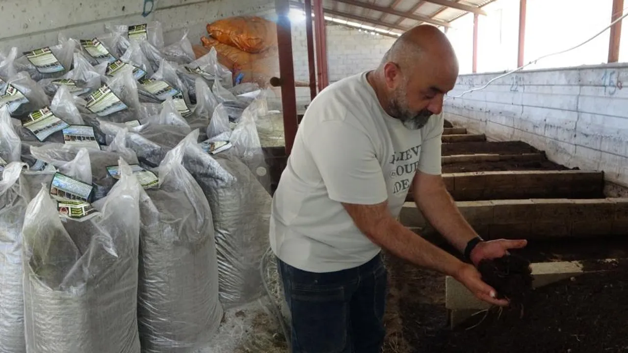 Evinin bahçesine sistem kurdu! Yılda 6 ton üretiyor, sipariş yağıyor