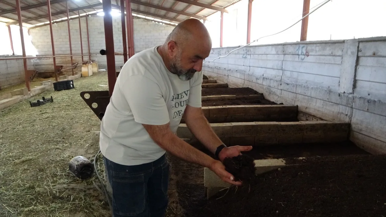 Evinin bahçesine sistem kurdu! Yılda 6 ton üretiyor, sipariş yağıyor