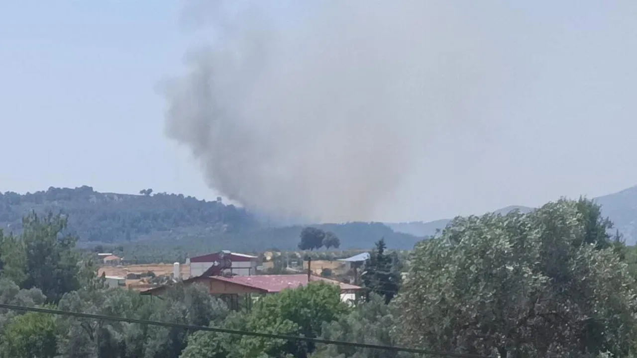 Muğla Seydikemer'de orman yangını!