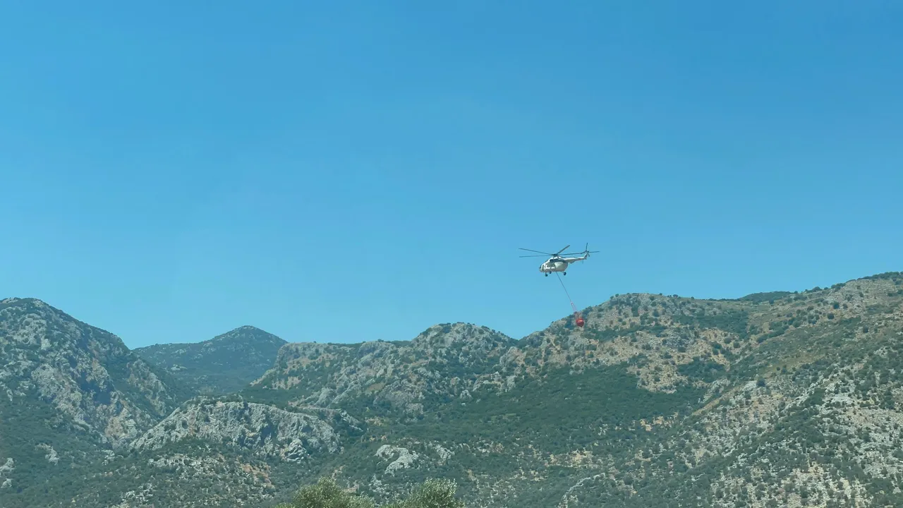 Muğla ve İzmir'de yangın! Ekipler müdahale ediyor