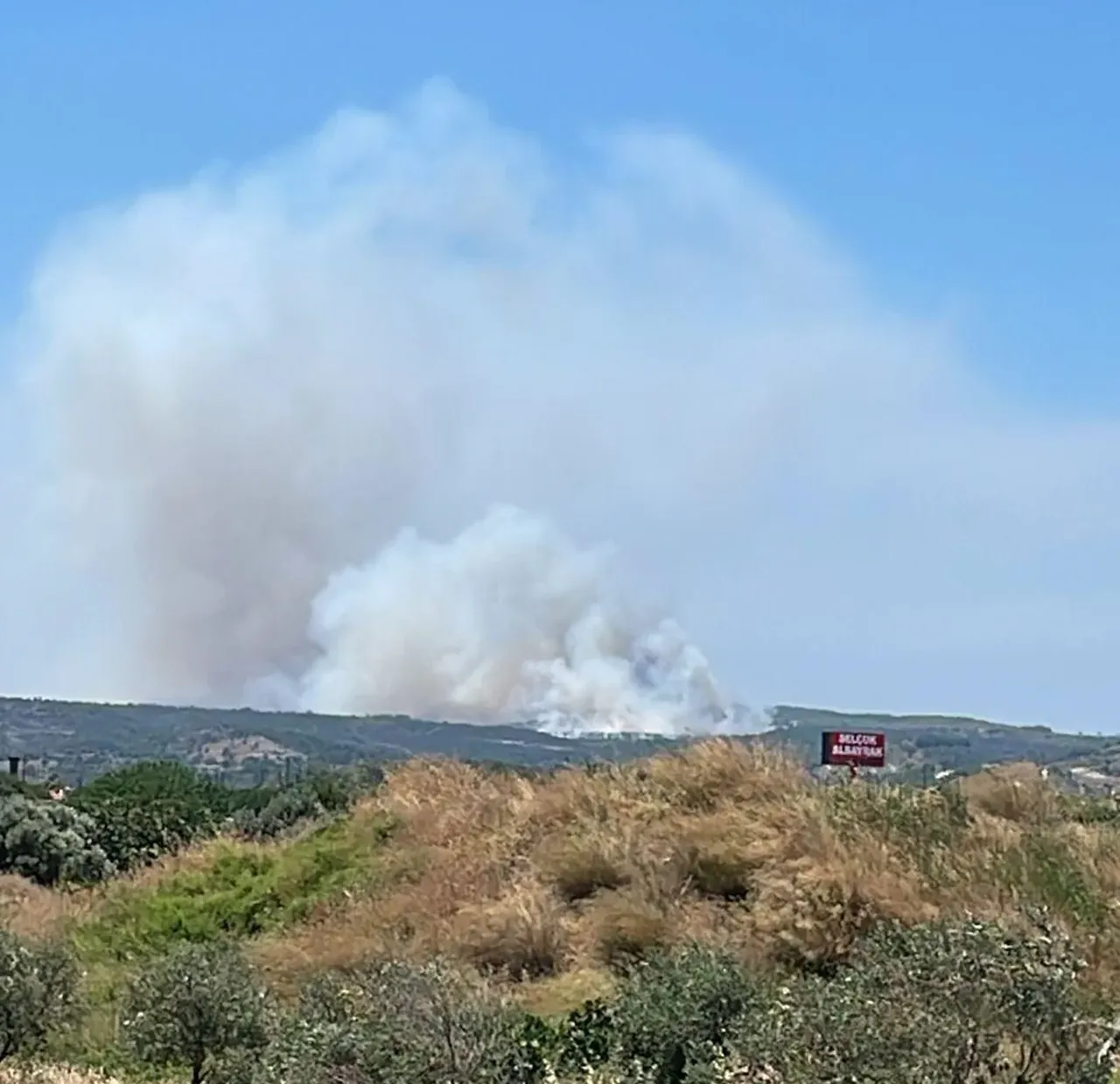Muğla ve İzmirde yangın! Ekipler müdahale ediyor