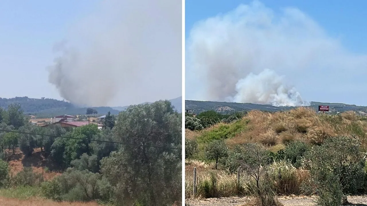 Muğla ve İzmir'de yangın! Ekipler müdahale ediyor