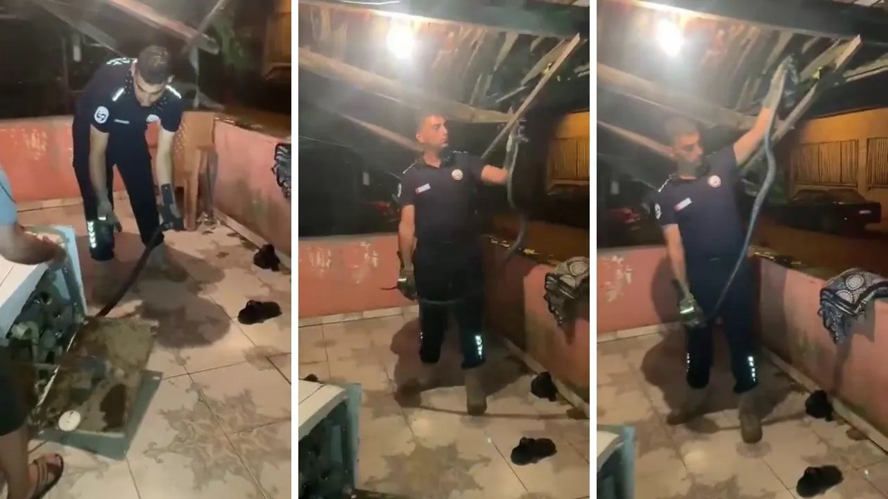 2 metrelik yılan bulaşık makinesinin içinden çıktı