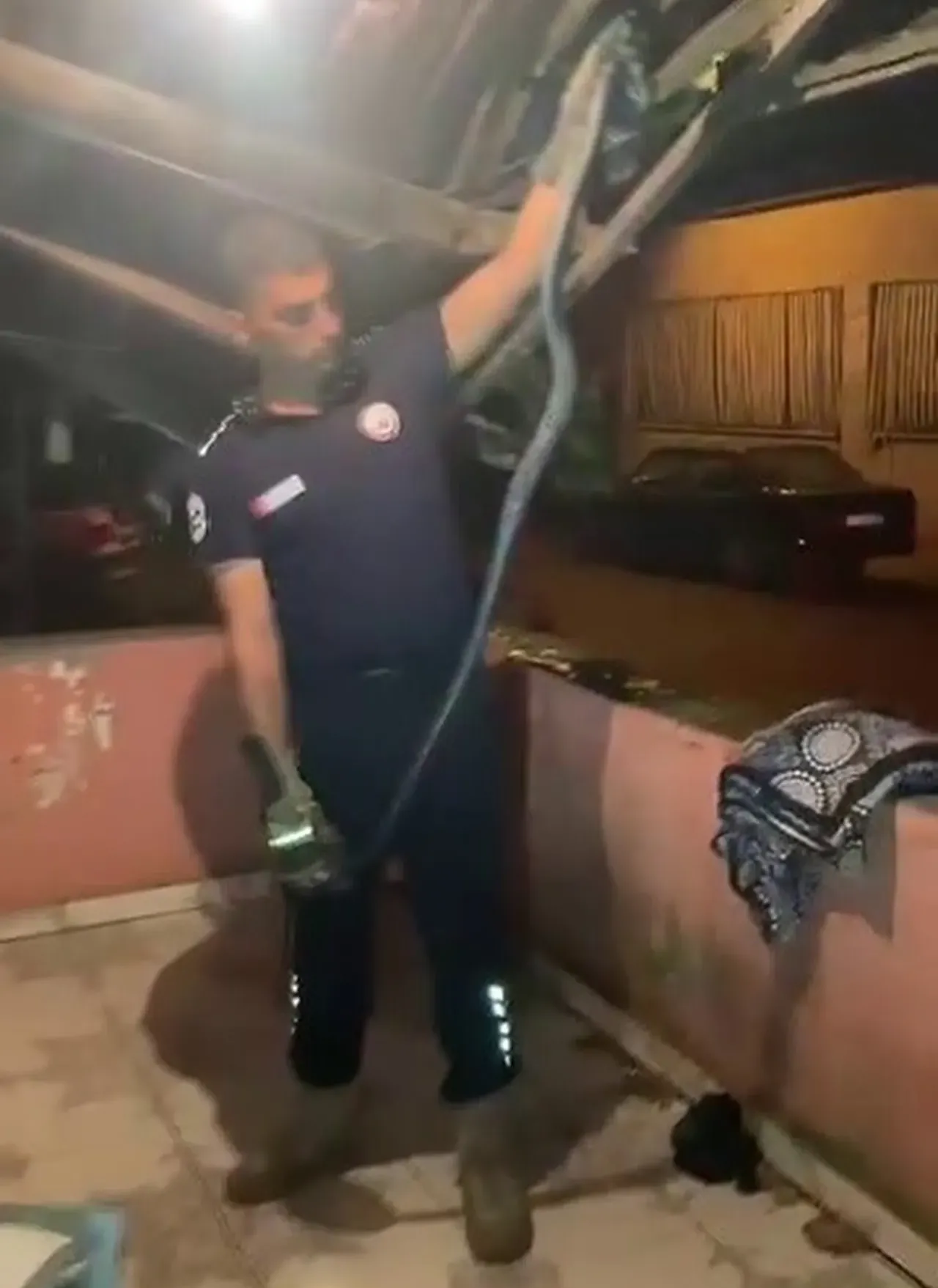2 metrelik yılan bulaşık makinesinin içinden çıktı