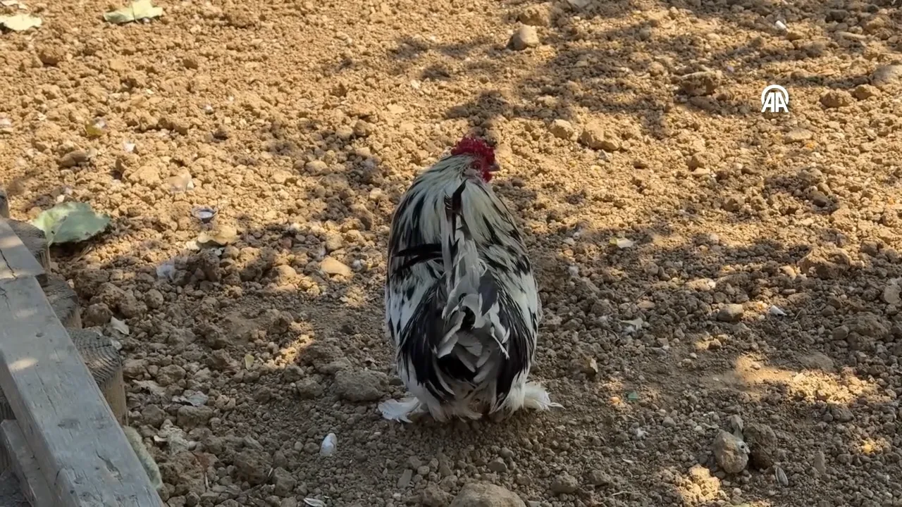 Akbil basanların durup izlediği durak! İstanbul kaosunun ortasında sürpriz manzara