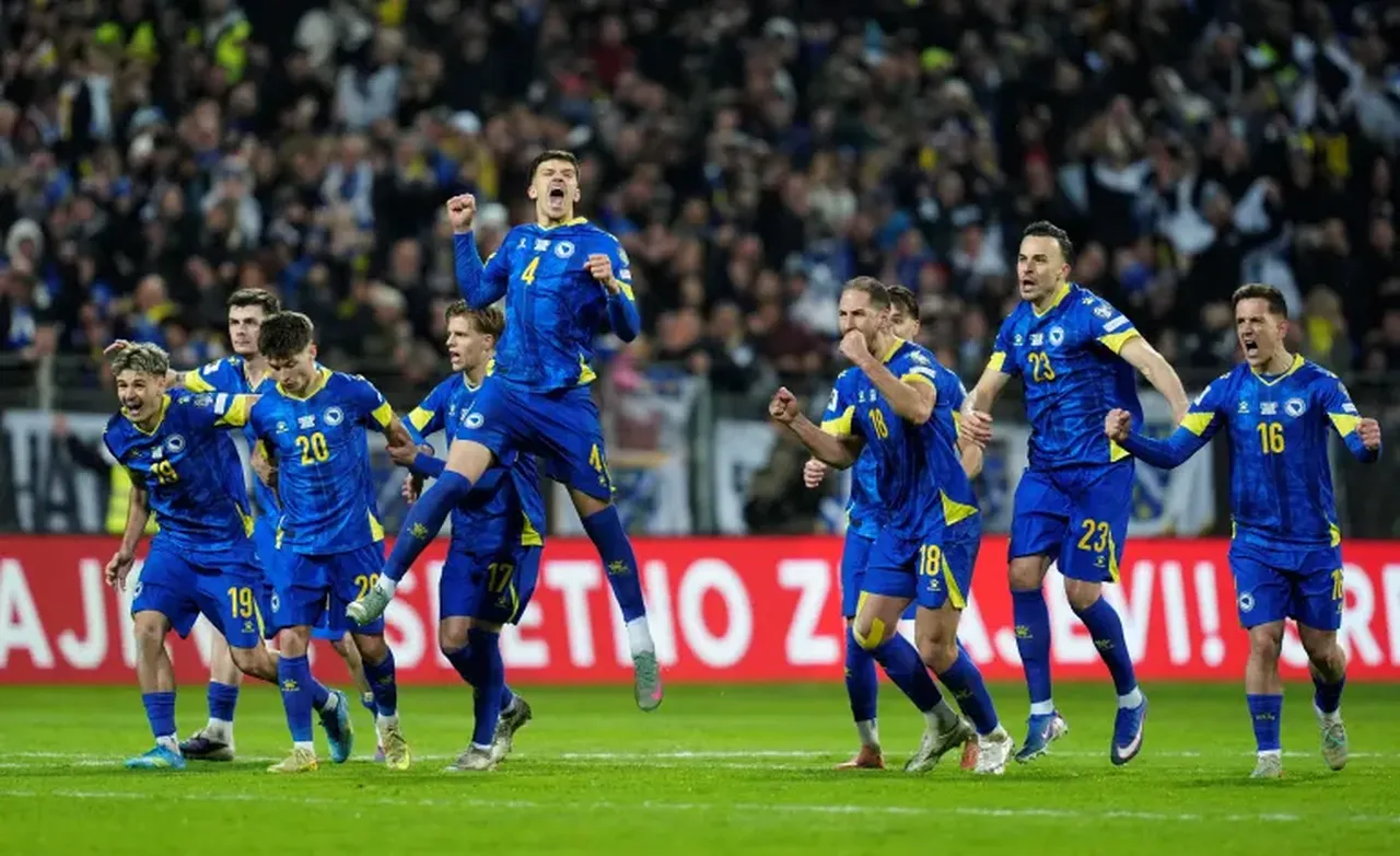 Bosna Hersek Milli Takımı