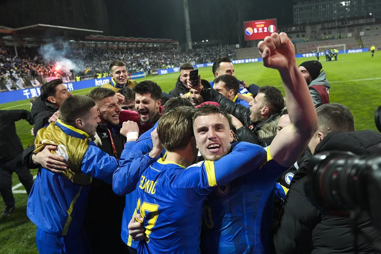 Bosna Hersek Milli Takımı