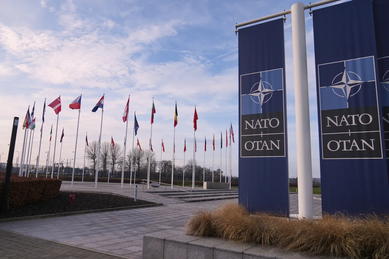 NATO’ya Ankara’da yeni kimlik! İttifak’ın dönüşümünde başaktör Türkiye