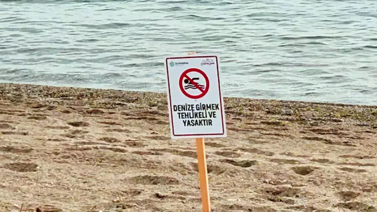 Tekirdağ, Kırklareli, Sakarya ve Düzce'de denize girmek yasak mı? 6 ilçede denize girmek yasaklandı!