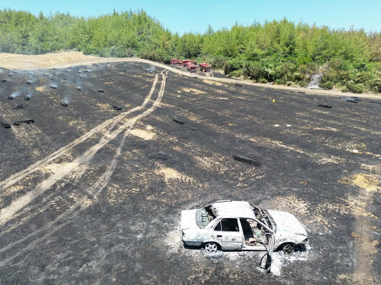 3 ilde yangın alarmı: Çanakkale, İzmir ve Adana'da ekipler havadan ve karadan teyakkuzda