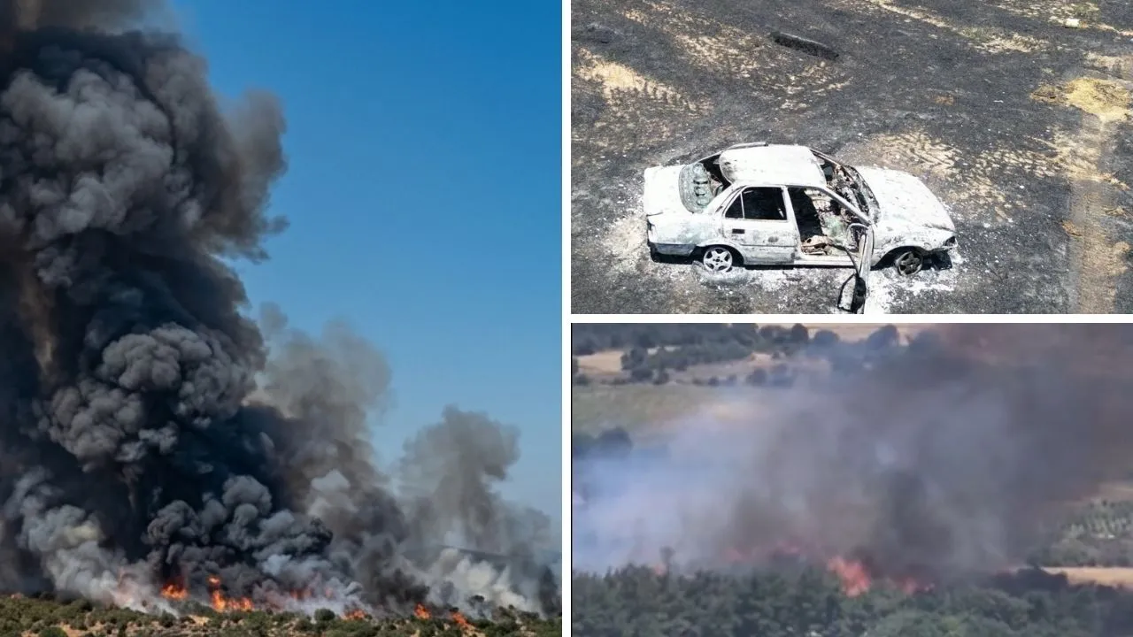 Çanakkale, İzmir ve Adana'da korkutan orman yangını! 