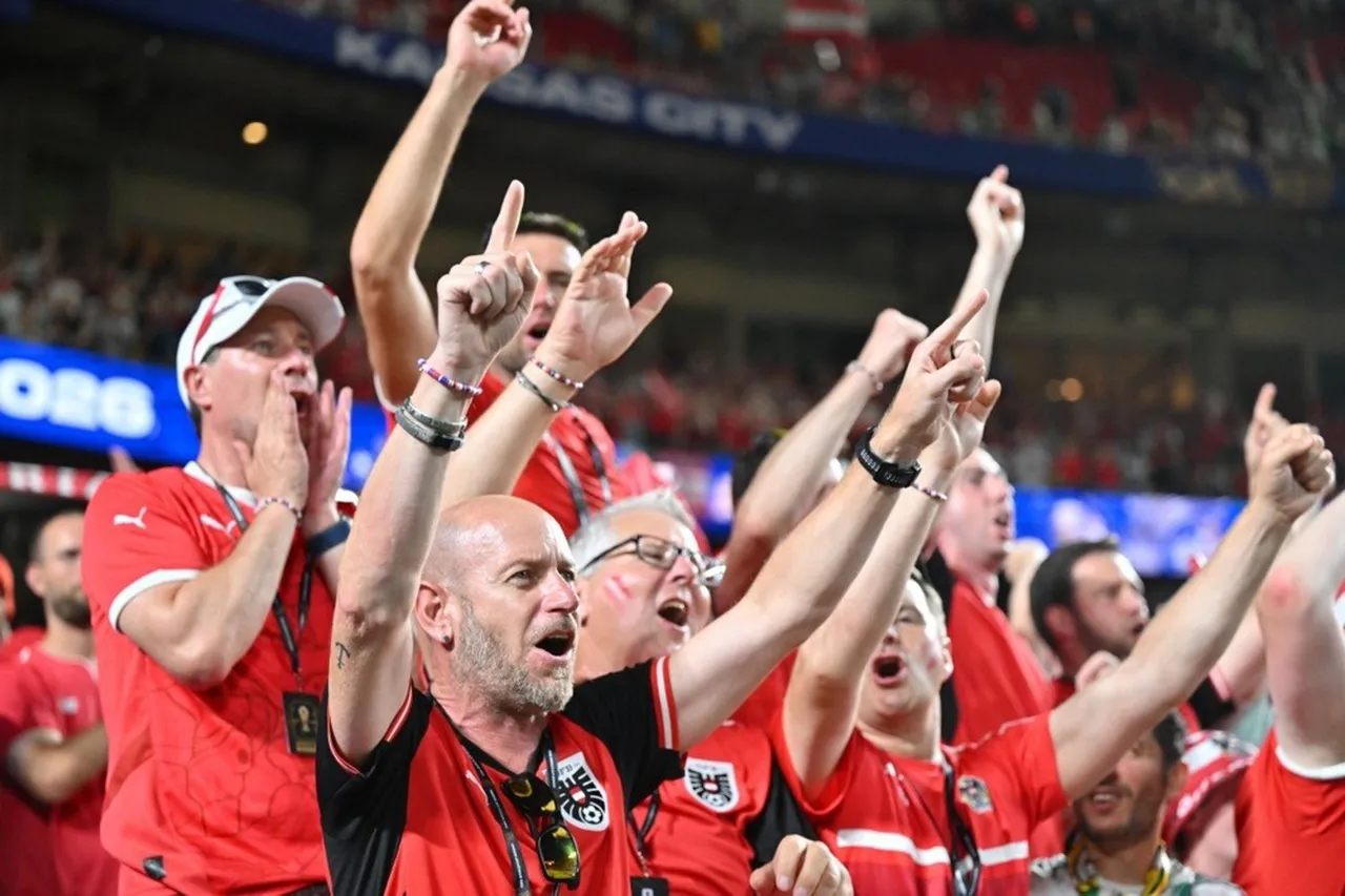FIFA Dünya Kupası taraftarları