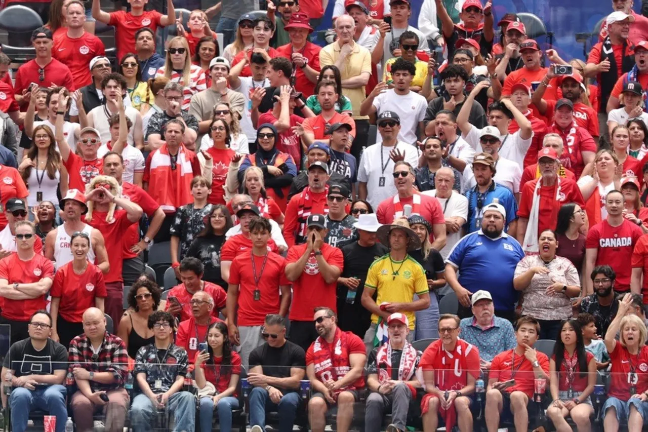 FIFA Dünya Kupası taraftarları