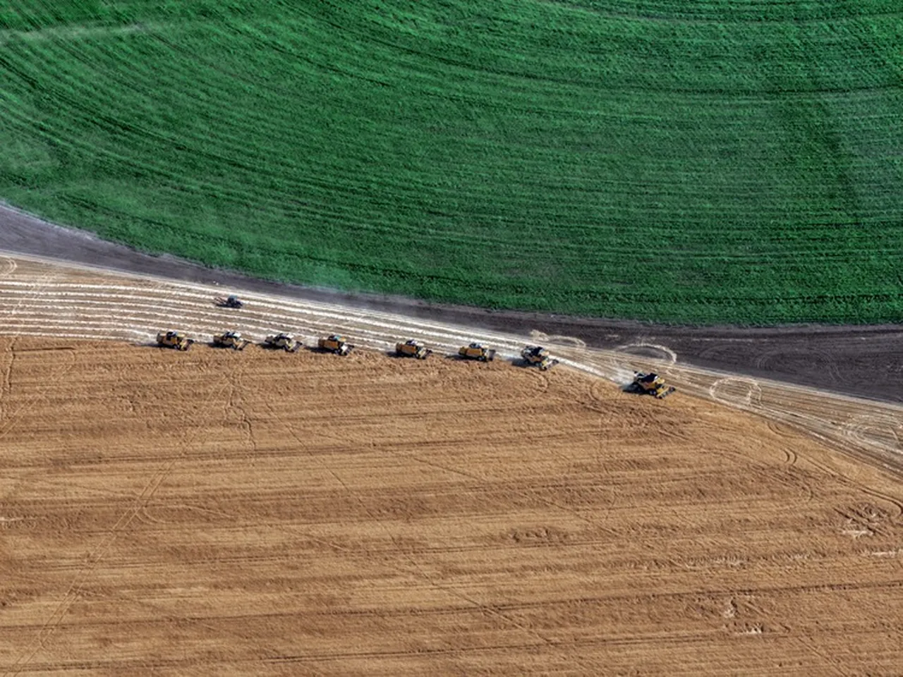 Rekolte tahmini 23 milyon ton! TİGEM'de biçerdöverler tarlaya indi