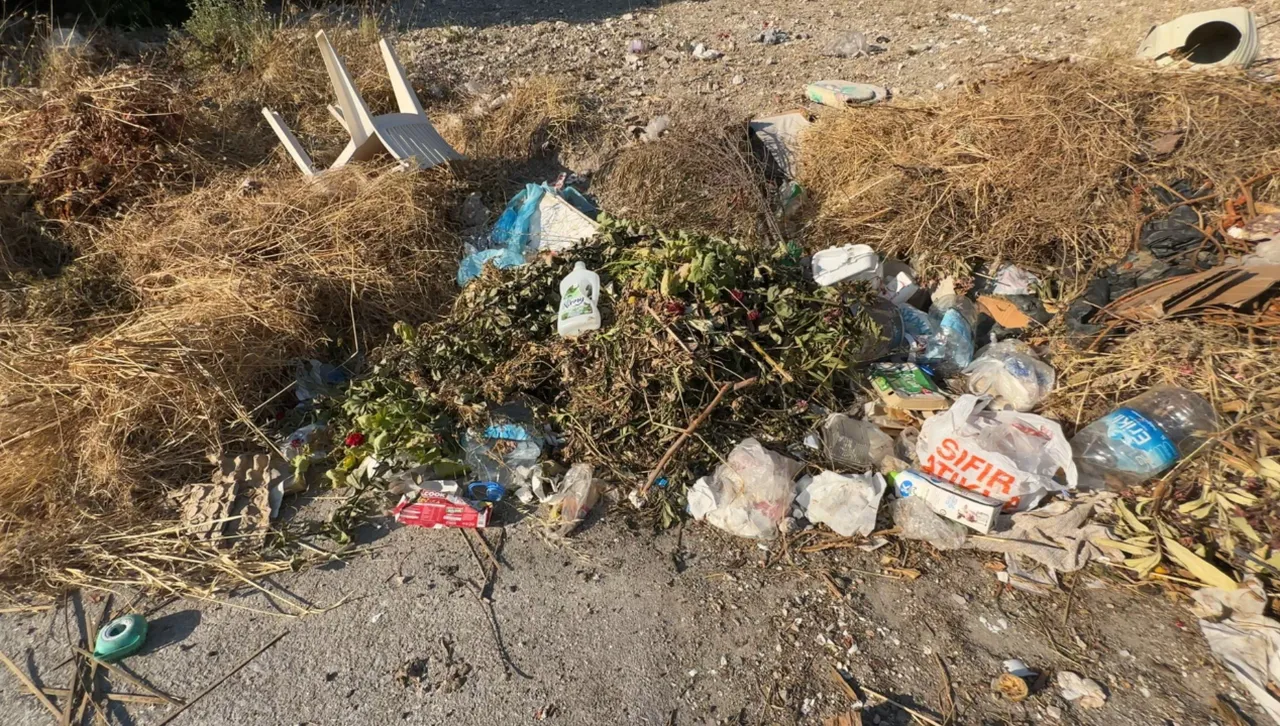 Yollar çöplüğe döndü, mahalleli isyan etti: Domuzlar iniyor!