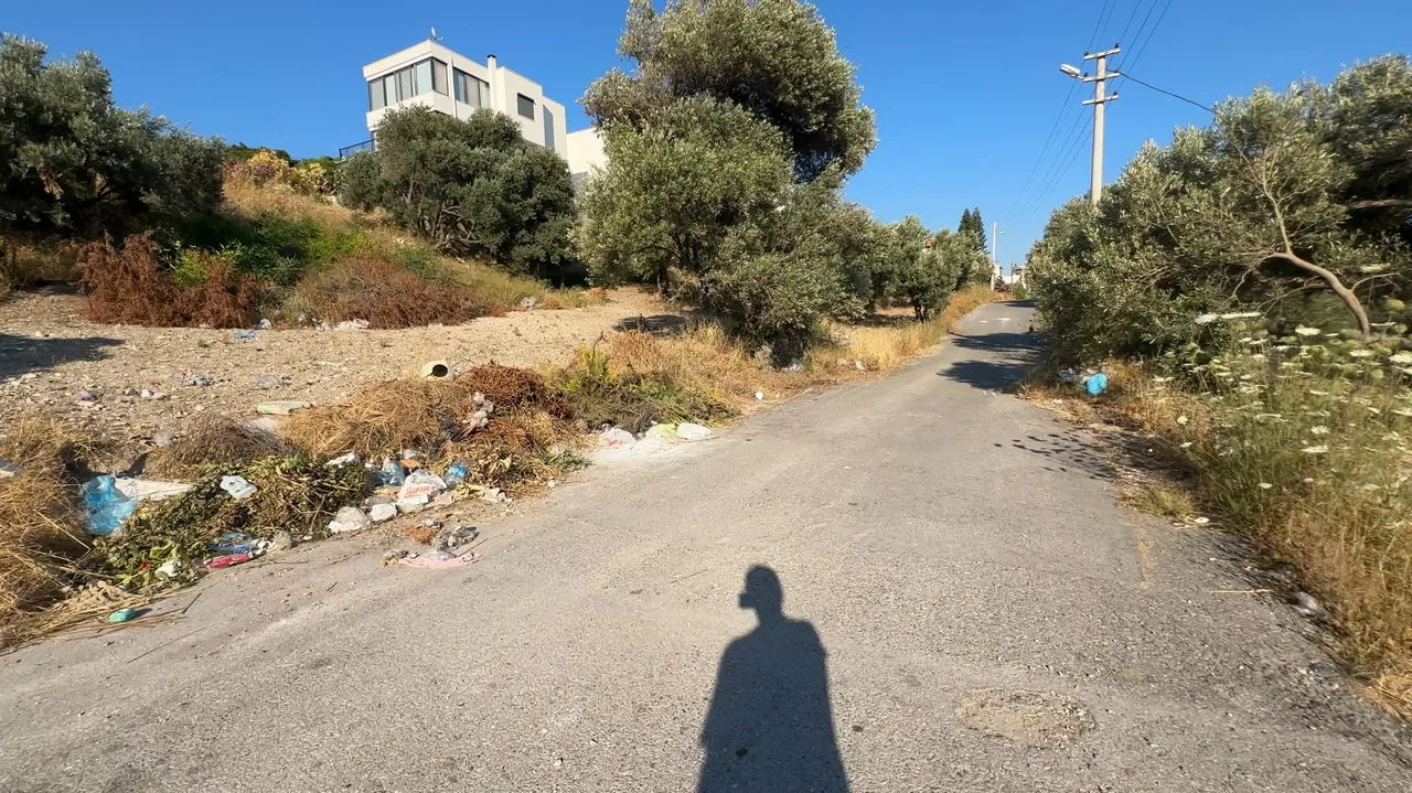 Yollar çöplüğe döndü, mahalleli isyan etti: Domuzlar iniyor!