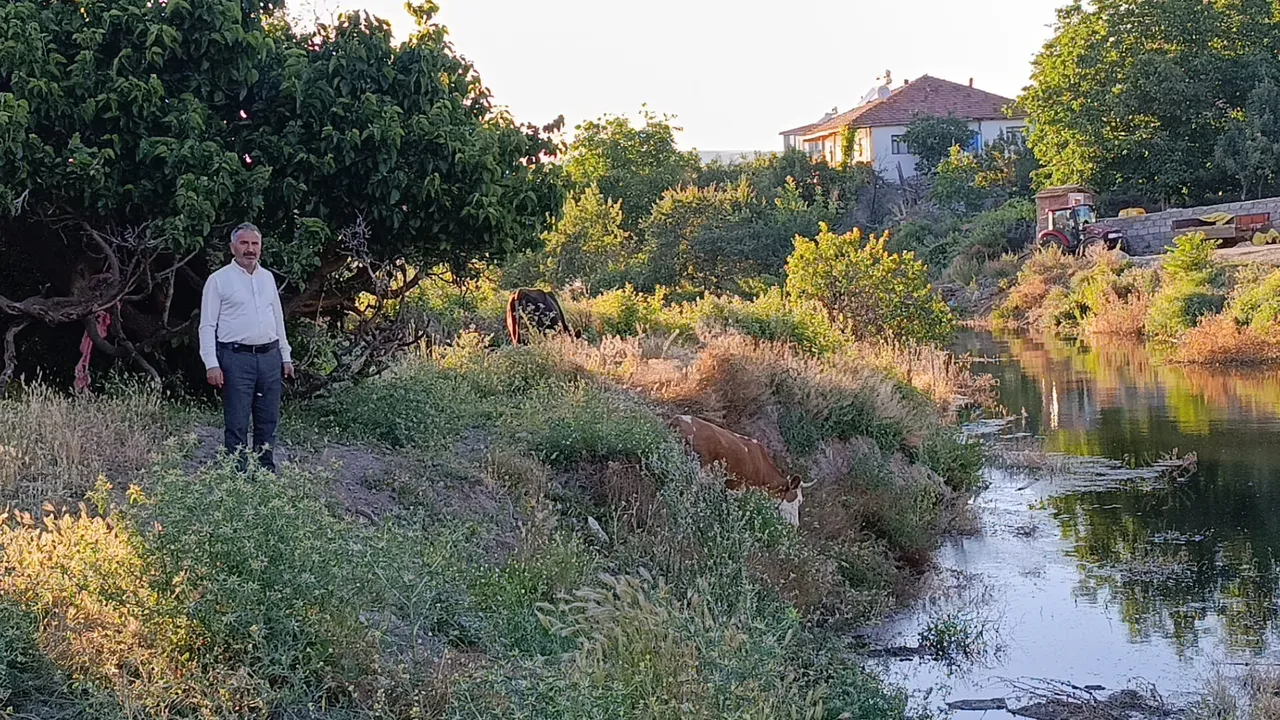 Yüzde 100 doluluk sevinci kâbusa döndü! Barajlar taştı, köyü yılanlar bastı! Her gün anons yapılıyor, herkes diken üstünde