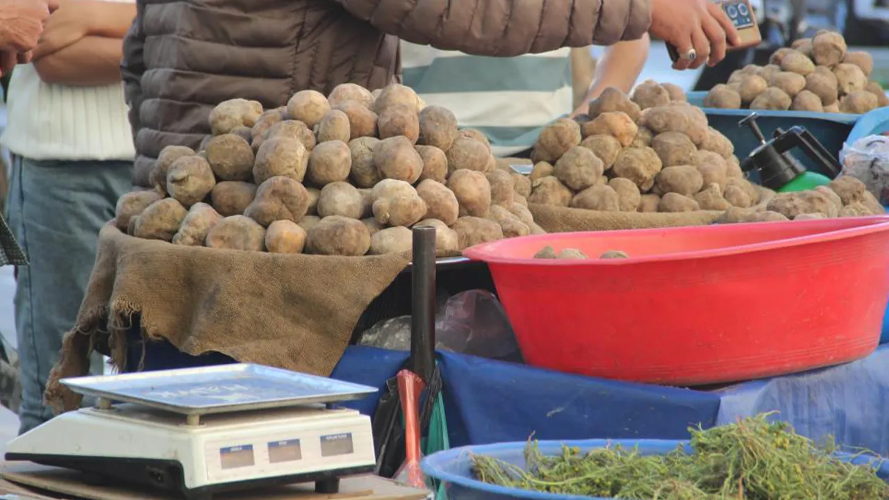 Sadece nisan ve mayısta çıkıyor: Kilosu 2 bin TL, taleplere yetişemiyorlar