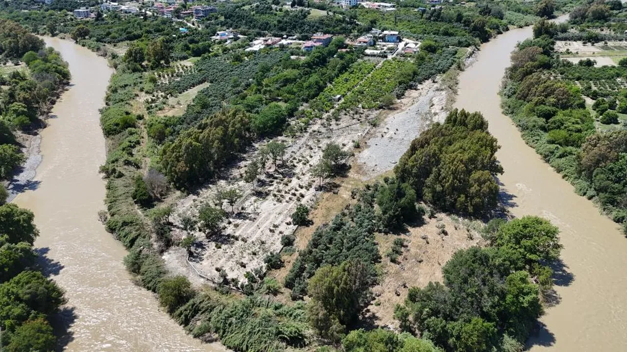 Hasarın boyutu günler sonra ortaya çıktı: Yüzlerce ağaç söküldü