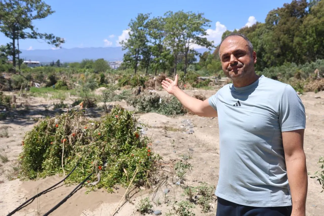 Hasarın boyutu günler sonra ortaya çıktı: Yüzlerce ağaç söküldü