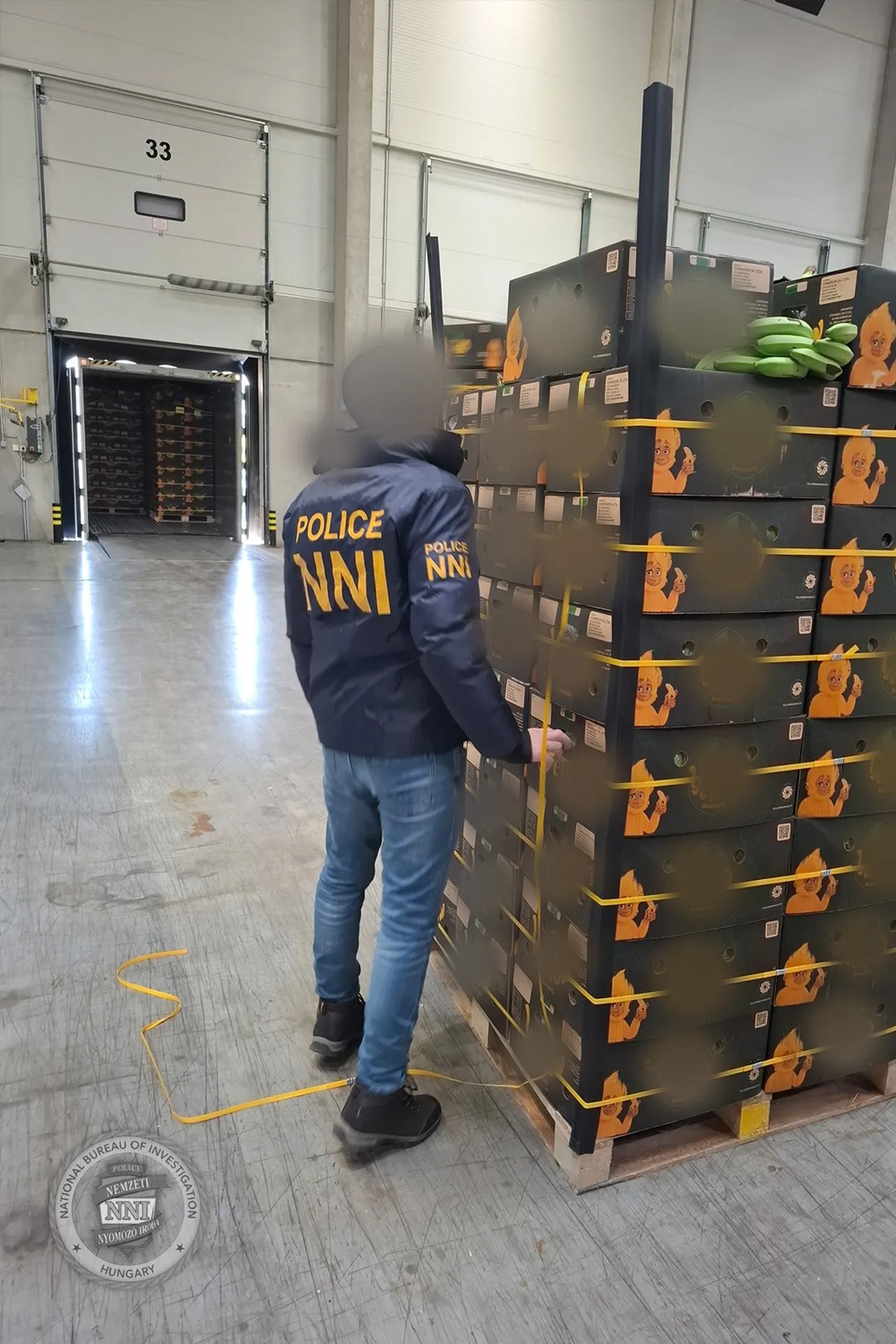 Macaristan tarihinin en büyük uyuşturucu operasyonu! Muzların arasına yarım tondan fazla gizlemişler