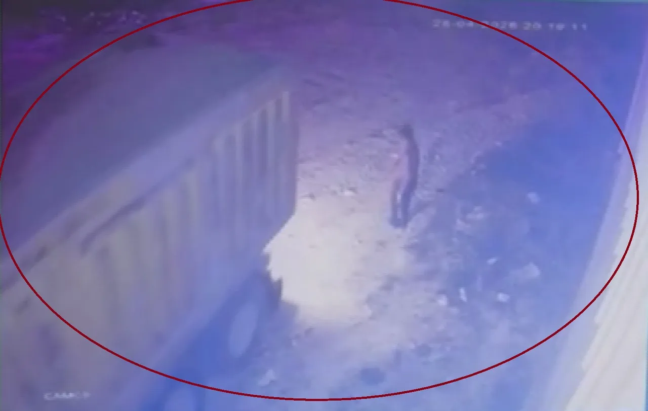 Arazisinde olanları kayda aldı, gördükleri karşısında şoke oldu! Savunmaları daha komik