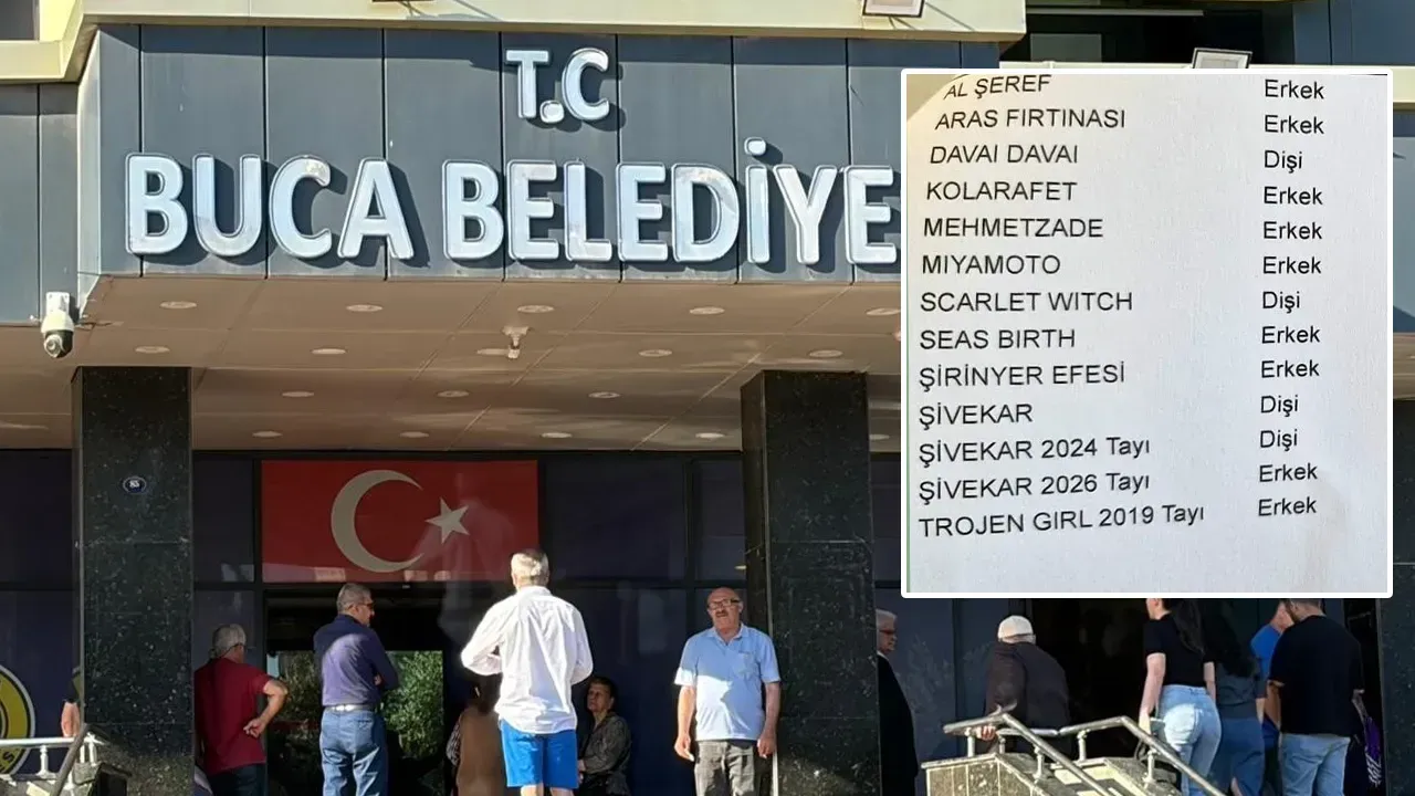 MEMURUN 13 YARIŞ ATI VARMIŞ!