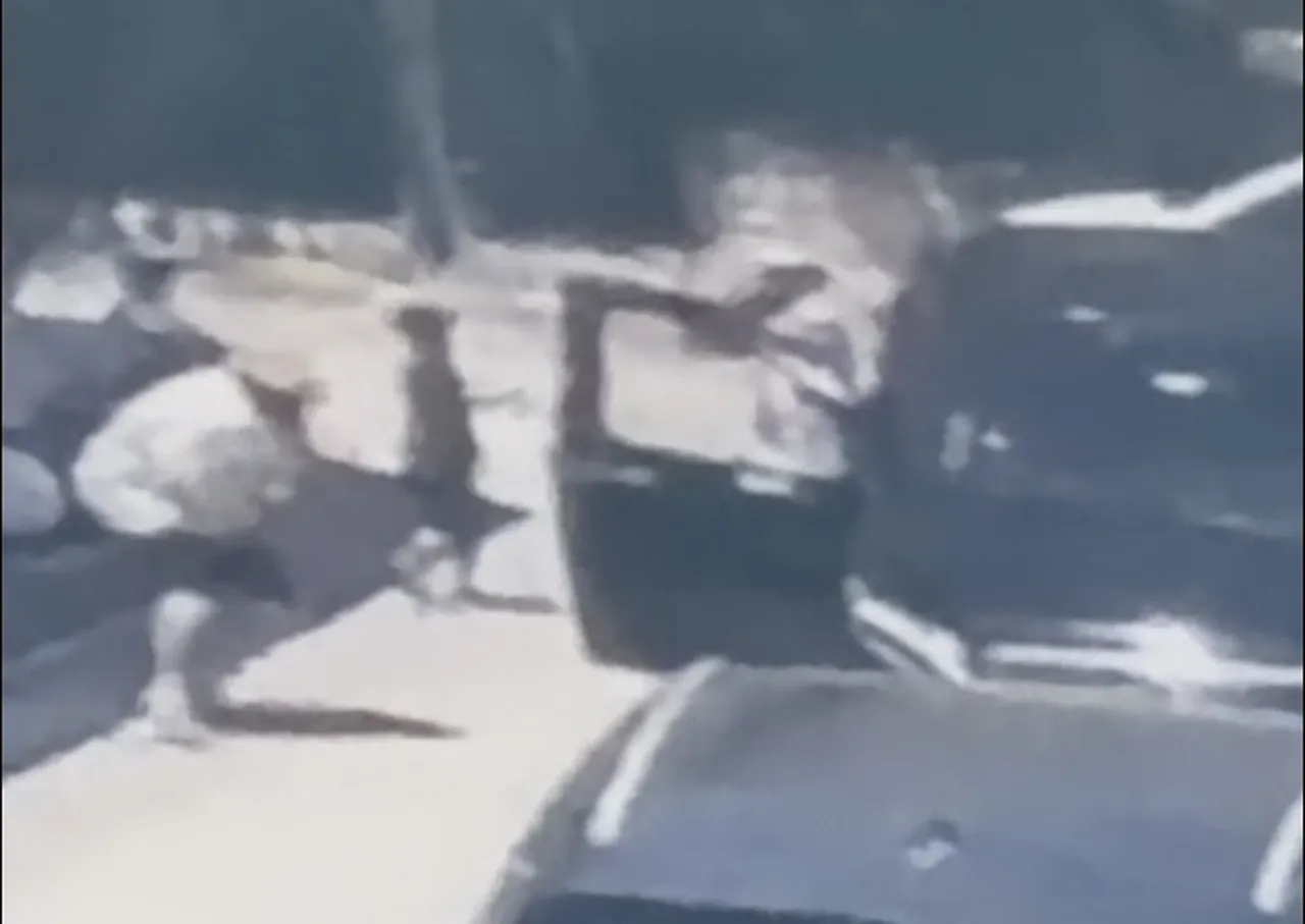 Can Polat cinayetinin arkasındaki çete bağlantısı! Saldırganın asıl hedefi başkaymış