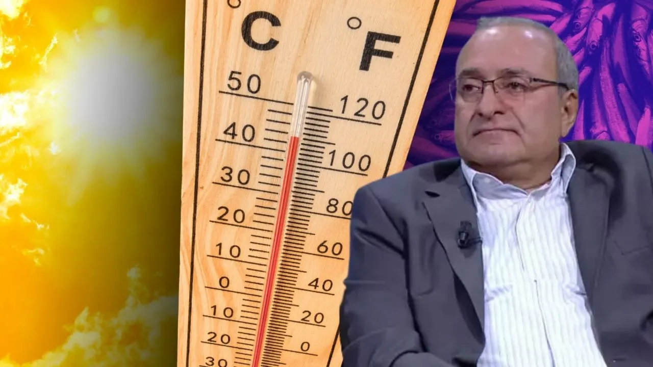 El Nino, havayı değil hamsi pazarını vuracak! Ünlü profesörden ezber bozan çıkış