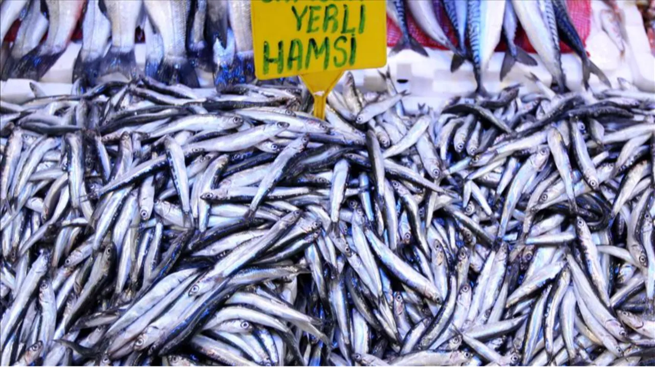 El Nino, havayı değil hamsi pazarını vuracak! Ünlü profesörden ezber bozan çıkış