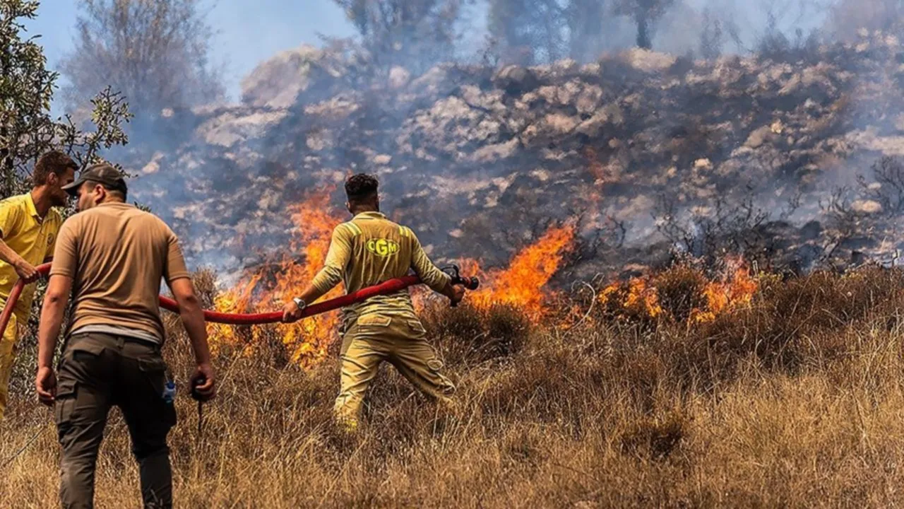 El Nino, havayı değil hamsi pazarını vuracak! Ünlü profesörden ezber bozan çıkış