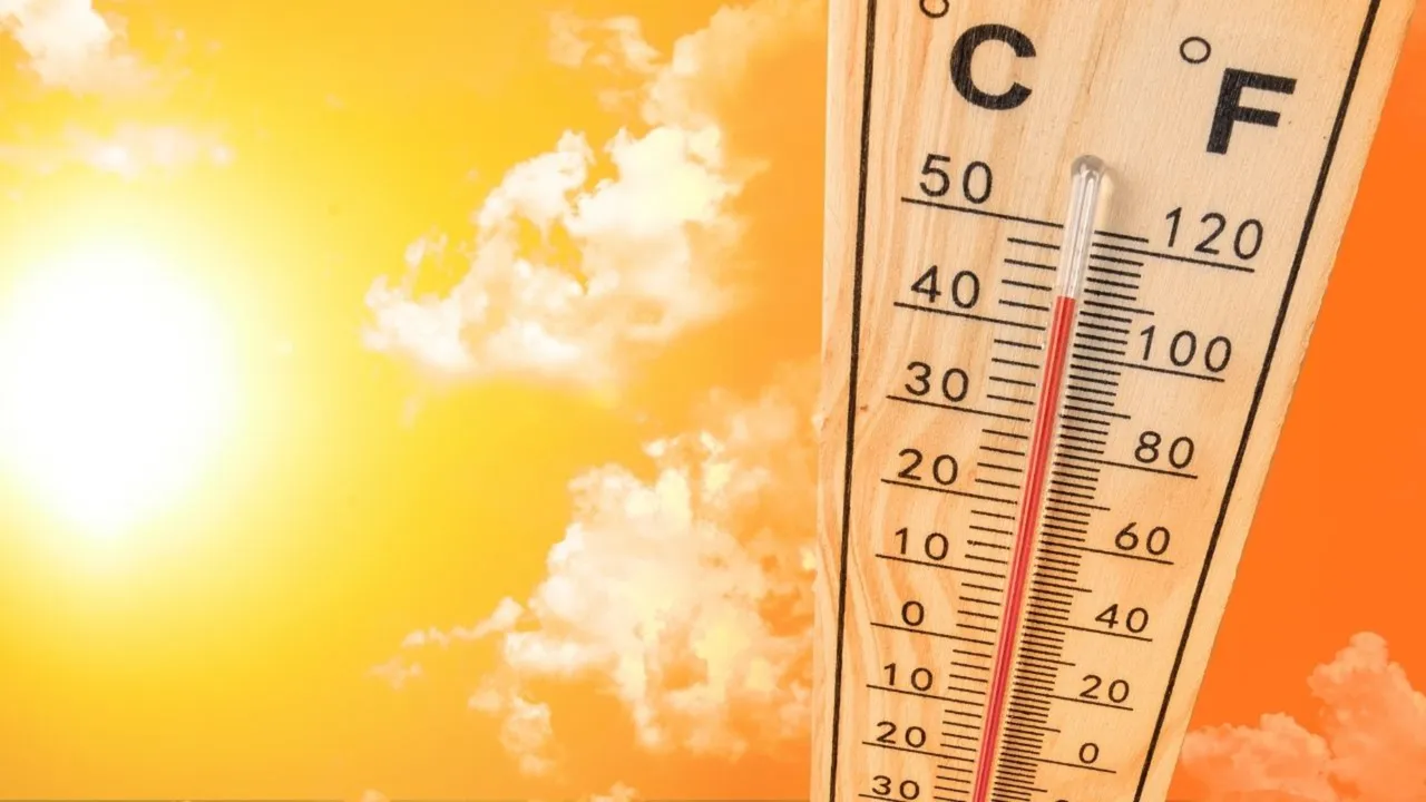 El Nino, havayı değil hamsi pazarını vuracak! Ünlü profesörden ezber bozan çıkış