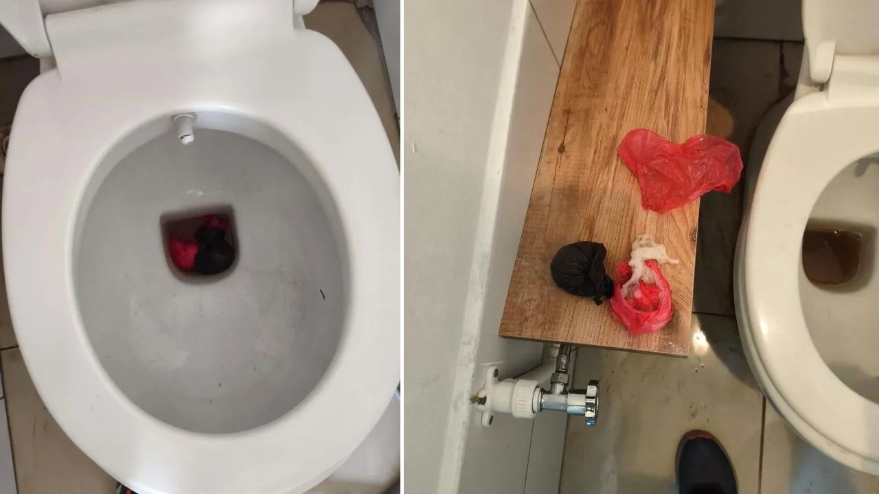 Gerçek sifon arızalanınca ortaya çıktı! Polis tuvaletin içinde buldu