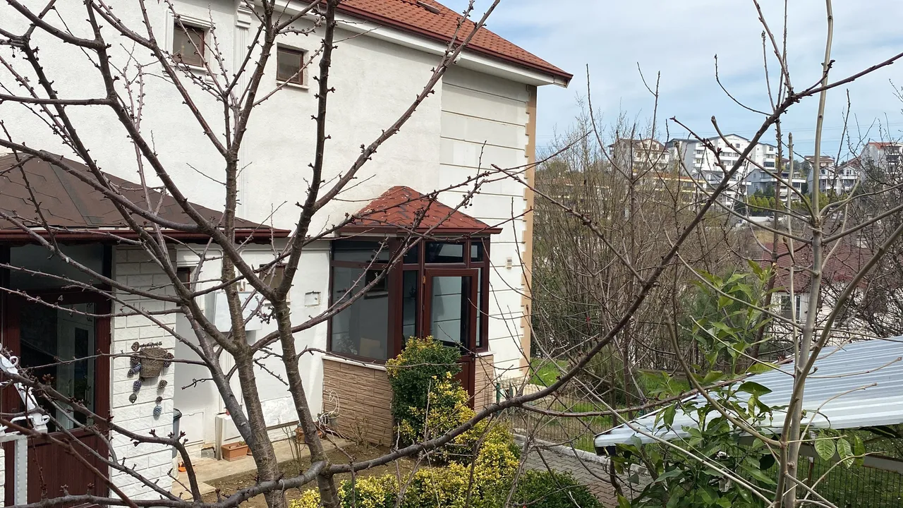 "Izdırap içindeyim"... 'Hacı baba' çetesinin lideri anneden mahkemede gözyaşları!
