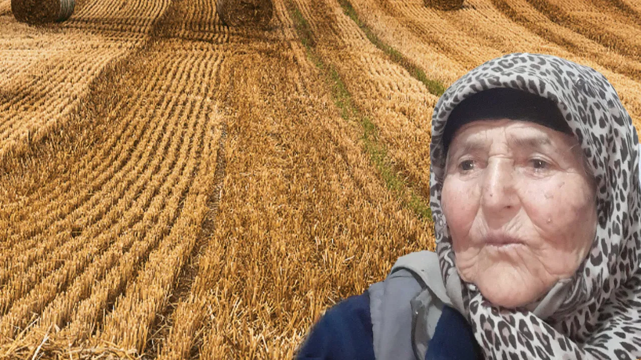 Tarlada kahreden ölüm! Uyuduğu sırada iş makinesinin altında kaldı