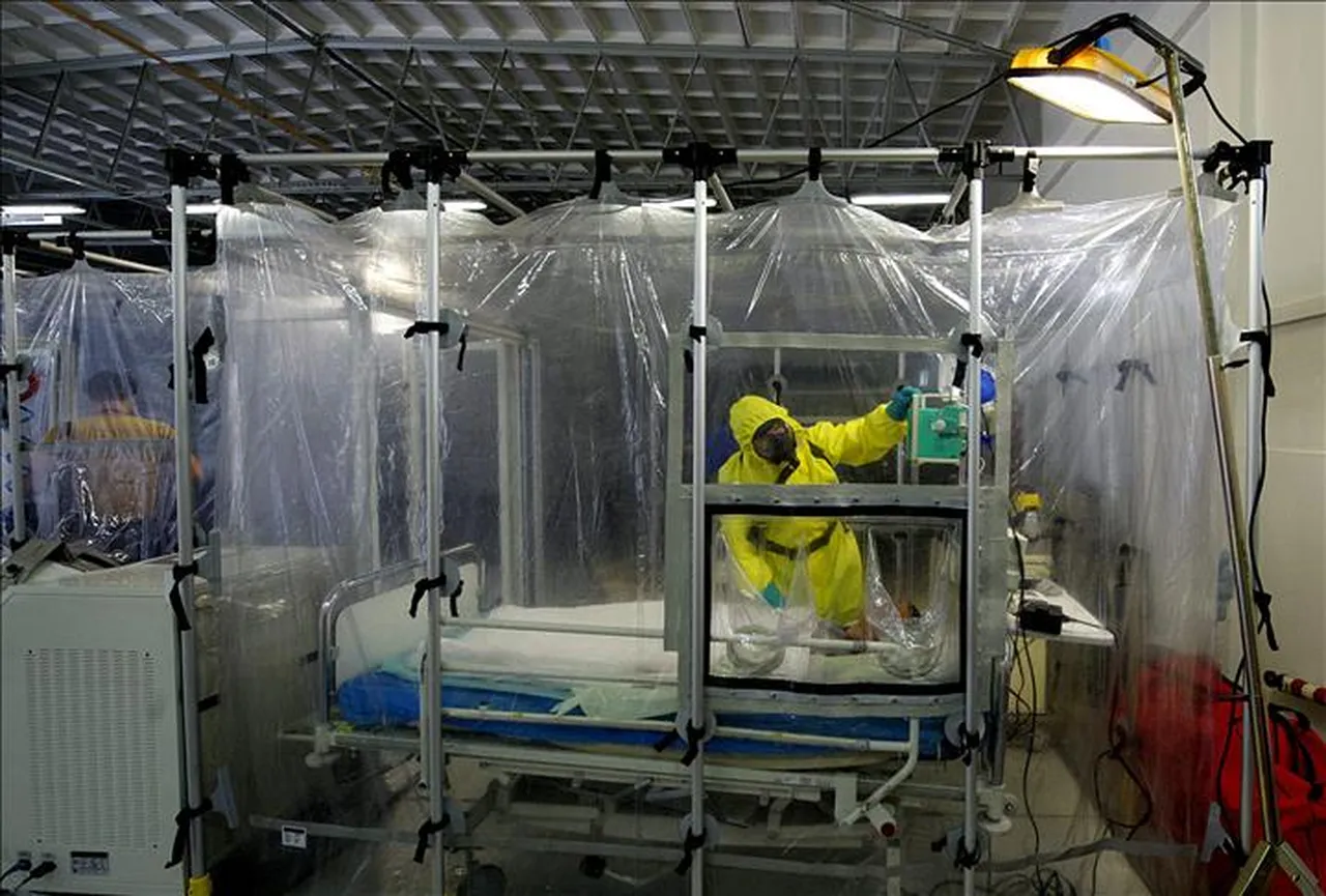 Akıllı telefonlar tetikliyor! Dünyayı sarsan ölümcül Ebola virüsünde korkutan tehlike
