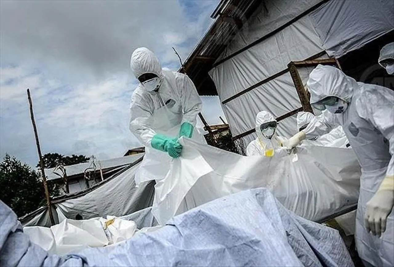 Akıllı telefonlar tetikliyor! Dünyayı sarsan ölümcül Ebola virüsünde korkutan tehlike