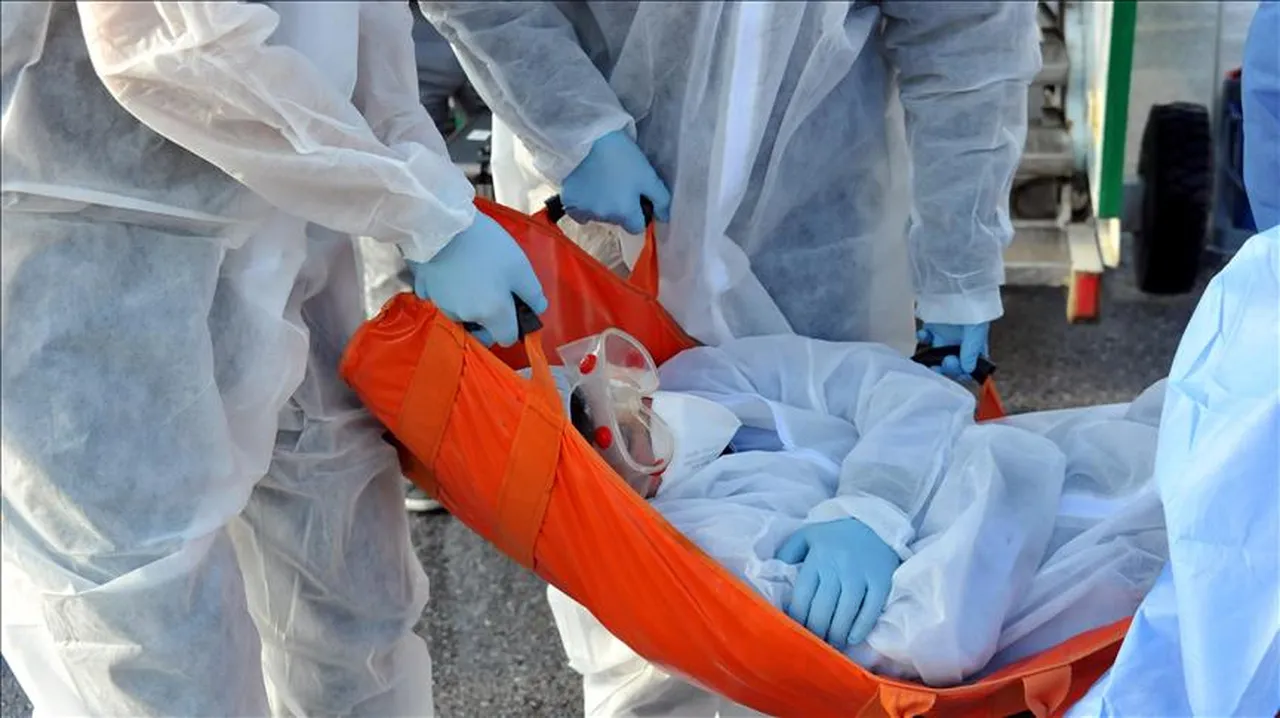 Akıllı telefonlar tetikliyor! Dünyayı sarsan ölümcül Ebola virüsünde korkutan tehlike