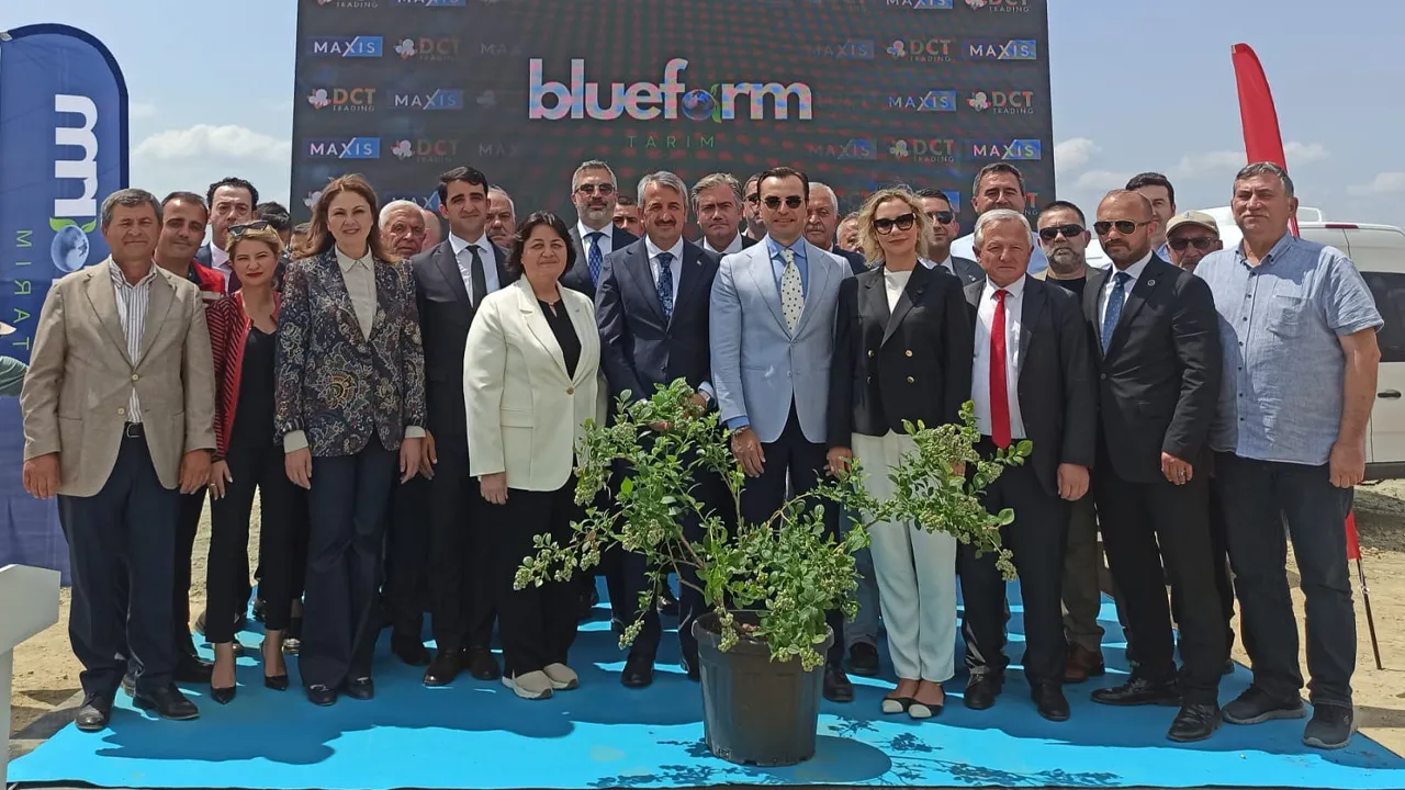 Bluefarm Tarım, 150 bin fidan dikecek! Edirne'ye 4,5 milyon avroluk yaban mersini yatırımı